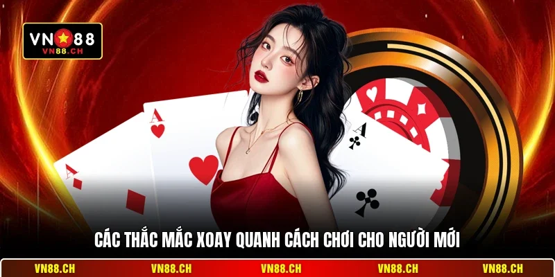 Cách Chơi VN88 - Hướng Dẫn Chi Tiết Cho Người Mới Bắt Đầu 3 Các thắc mắc xoay quanh cách chơi cho người mới