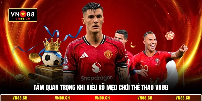 Mẹo Chơi Thể Thao VN88 - Bí Quyết Đặt Cược Luôn Chiến Thắng 1 Tầm quan trọng khi hiểu rõ mẹo chơi thể thao VN88